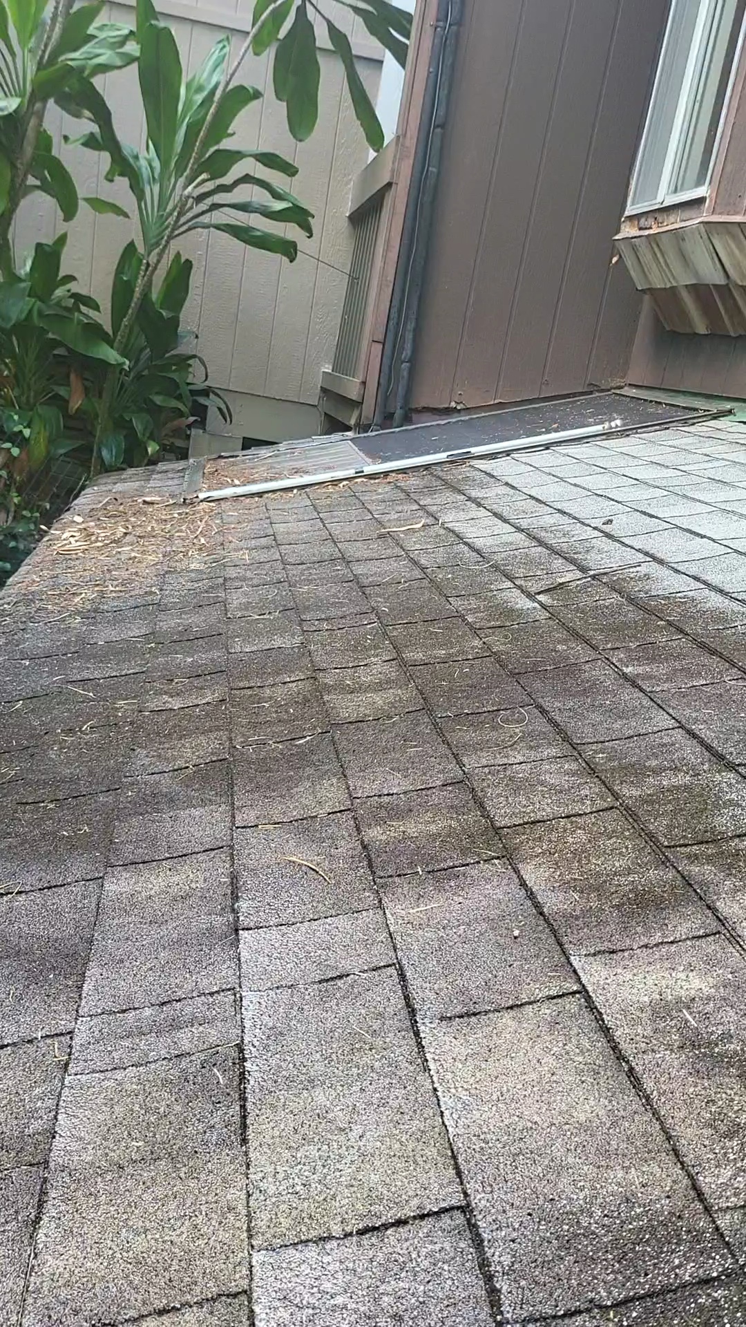 Paradise Power Washing LLC: Restoring Roofs and Tenant Satisfaction in Waialua's North Shore
